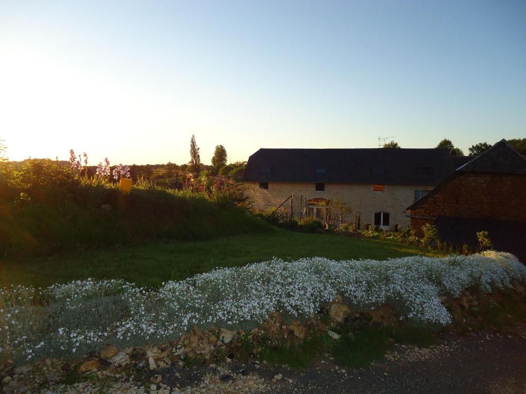 Maison D'Hotes La Maison De Leopold Terrasson Buitenkant foto